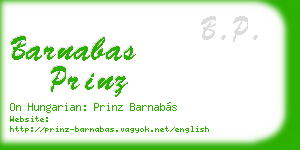 barnabas prinz business card